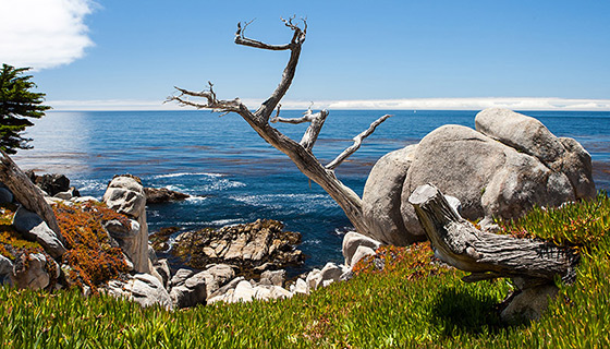 San Francisco to Monterey Family Breakaway Multisport